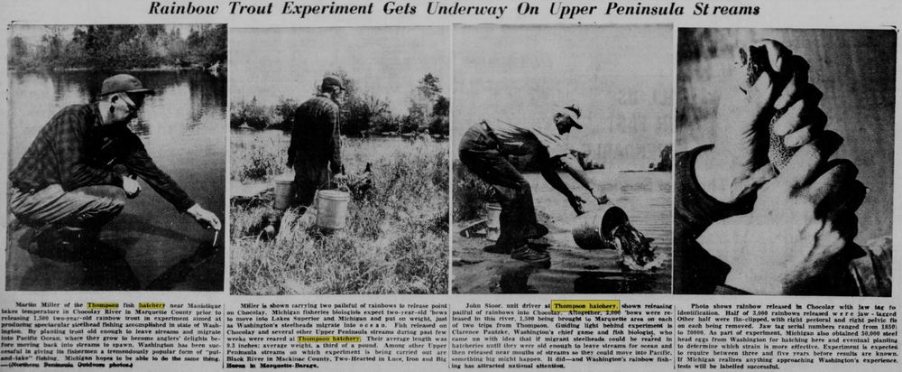 Thompson State Fish Hatchery - June 1955 Article